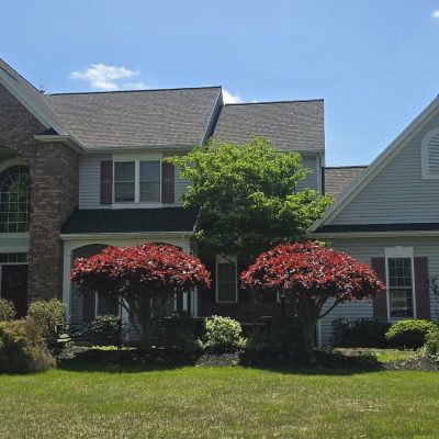 464e3a92-c608-4bd2-b59e-bbaec404f74f